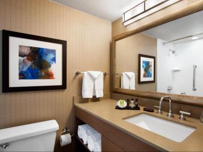 Embassy Dallas - Dfw International Airport South