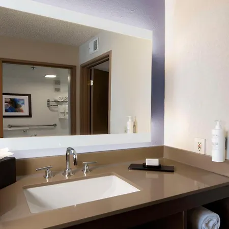 Embassy Suites Dallas - Dfw International Airport South Irving Exterior photo